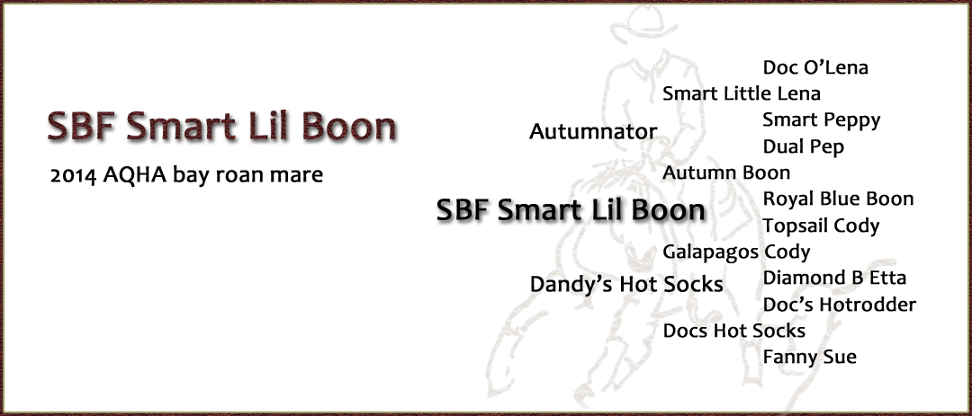 SBF Smart Lil Boon